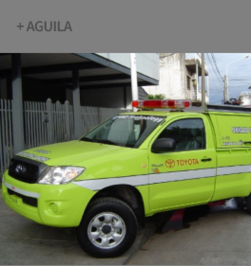 aguila