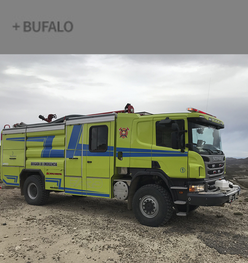 bufalo-1-pnk0b6z2n4sbd4y8zxbyi8w0e243hrecokjijfq8ms