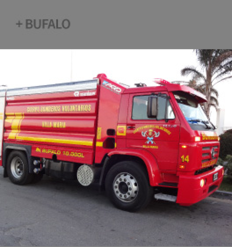 bufalo