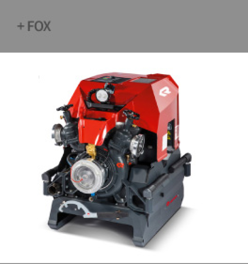 Fox