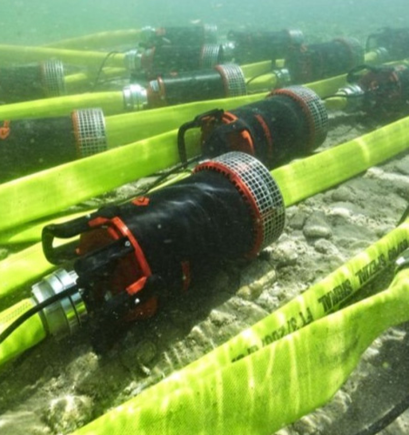 nautilus41y81_3
