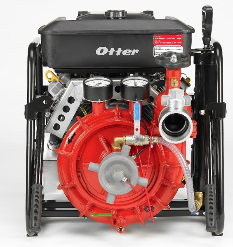 otter-1