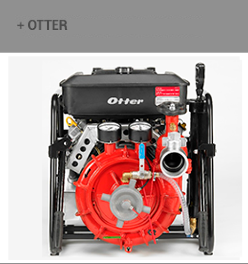 otter