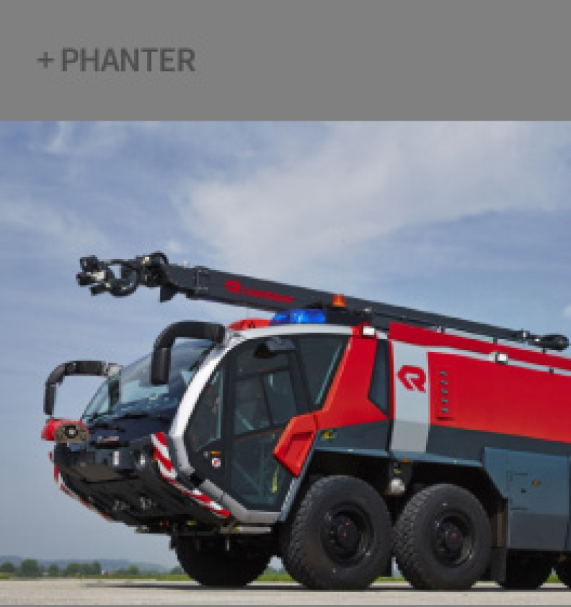 panther