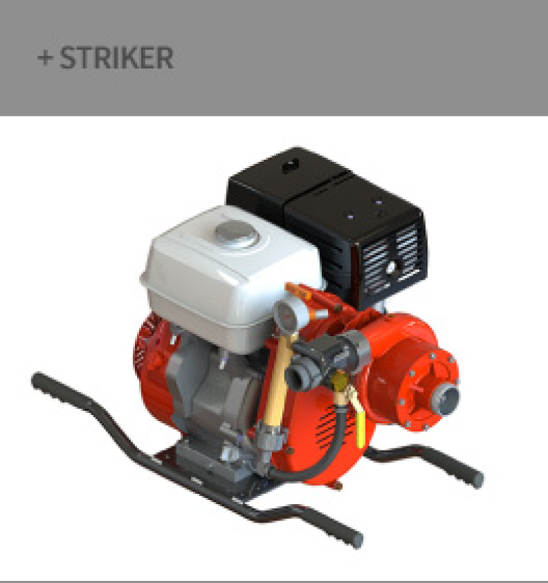 Striker